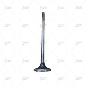 Intake Valve WY4907198 For CAT