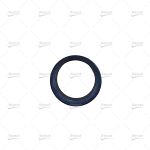 Valve Seat Insert WY2579166 For CAT
