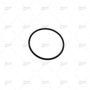 O-Ring  WY105863 for Jenbacher